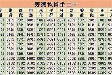 1995年 生肖